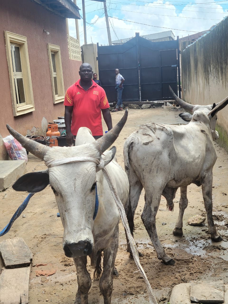 Lagos_street_feeding